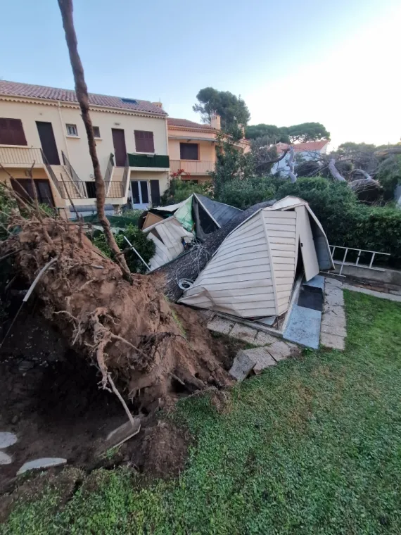Débitage de 2 pins tombés à Hyères , Brignoles, YT MULTISERVICES