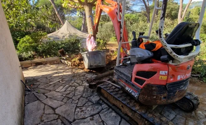 Plantation mûrier platane avec mini pelle