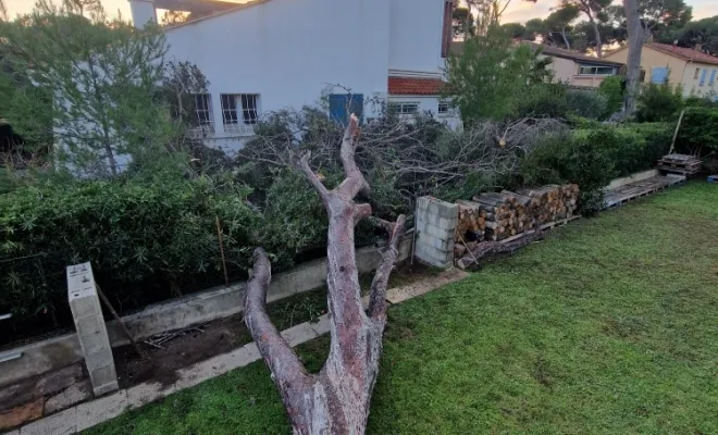 Débitage de 2 pins tombés à Hyères , Brignoles, YT MULTISERVICES