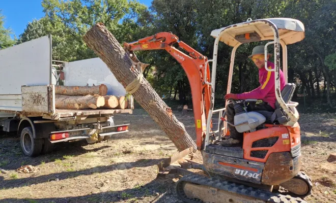 Évacuation des billes de bois après abattage 